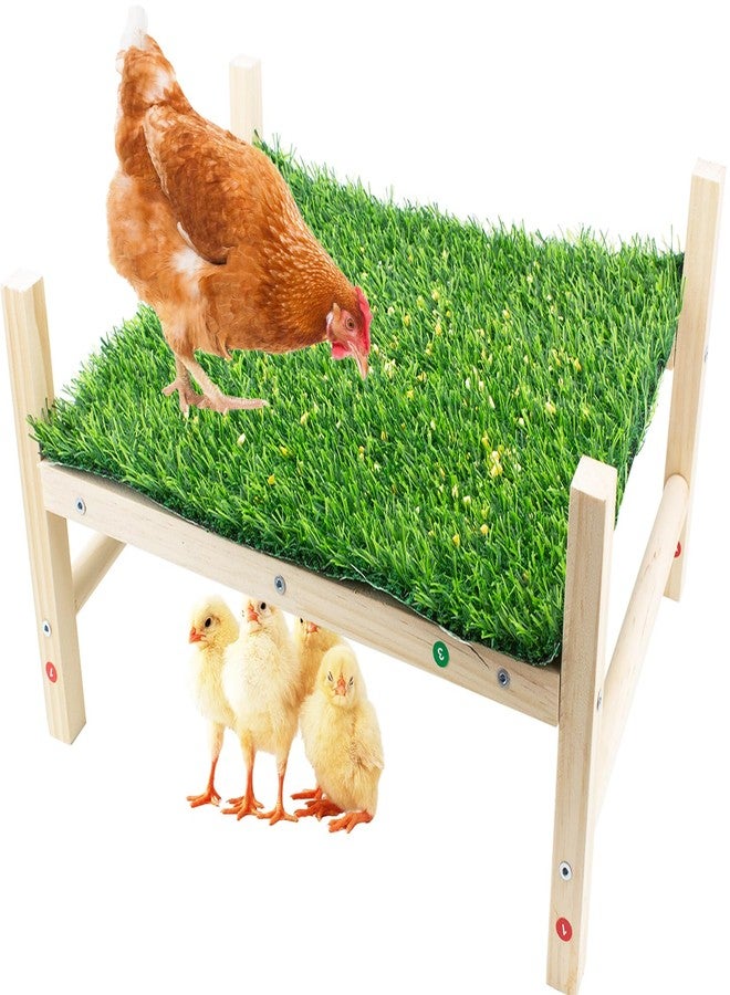 FlidRunest Extra-Large Wooden Chicken Toys, Natural Chicken Foraging Bed Toy for Coop, Multifunctional Training Perch Stand and for Poultry Chick, Hens, Rats - Image 1